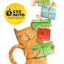 card_5_thumb