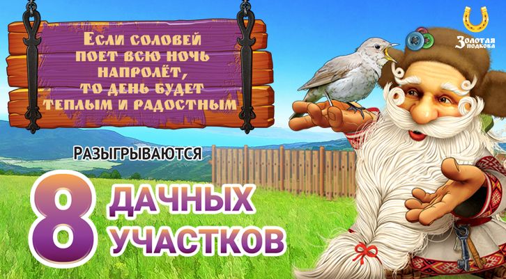 Новости Столото: все самое интересное и важное из мира лотерей