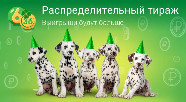 //static.stoloto.ru/media/images/original/original2121703059.jpg