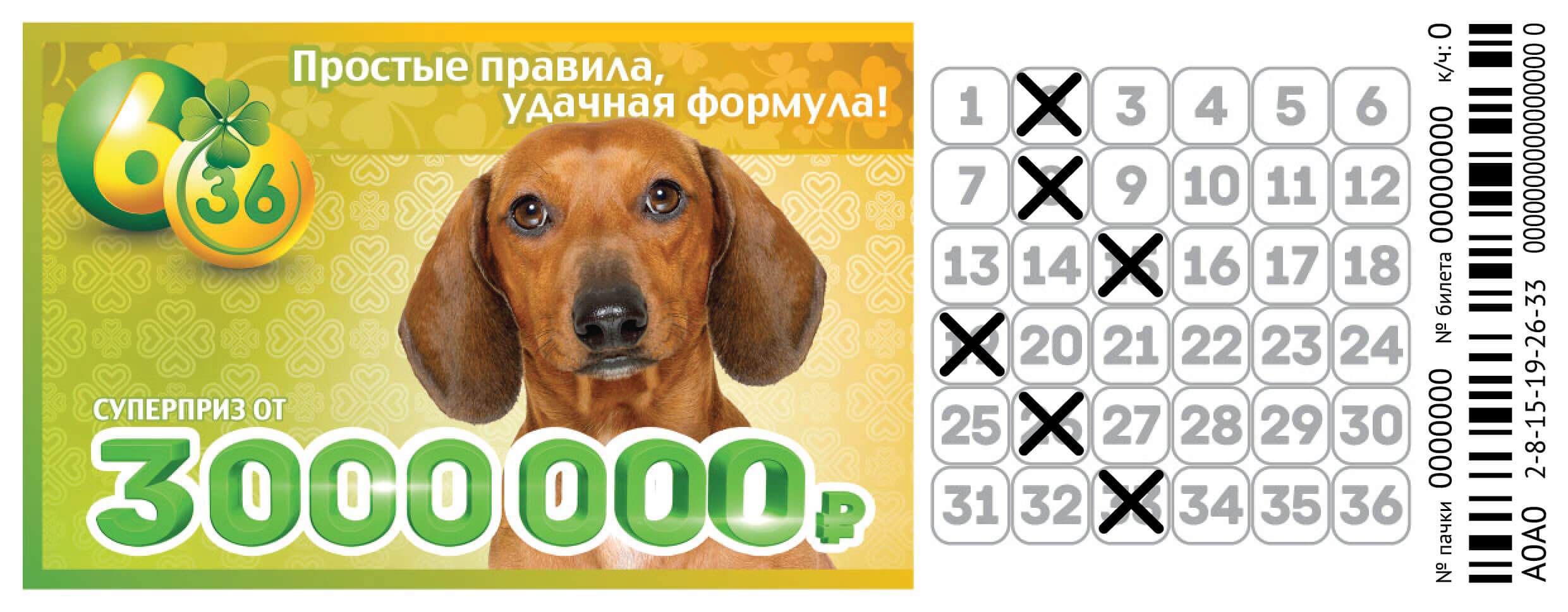 Купон лотереи 6 из 36