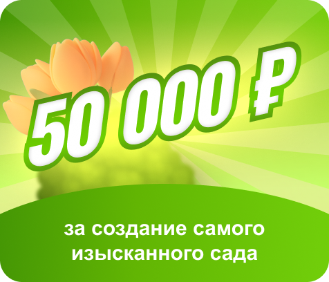 50 000 ₽ за создание самого изысканного сада