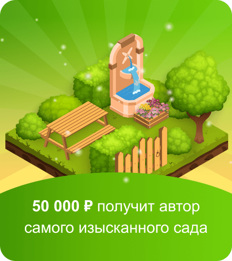 50 000 ₽ получит автор самого изысканного сада