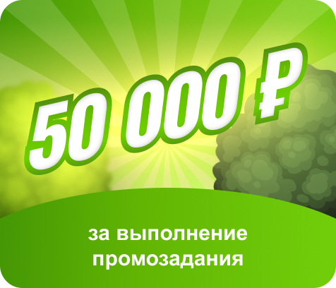 50 000 ₽ за выполнение промозадания