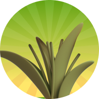 Не понравилось