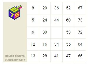 лотерея бинго 75