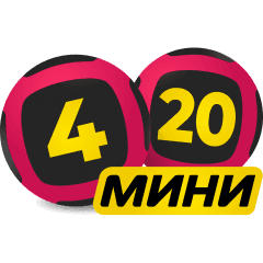 4x20mini